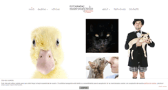 Desktop Screenshot of mascotastudio.com